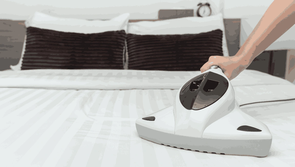 Professional Mattress Cleaning Cambrian Hill